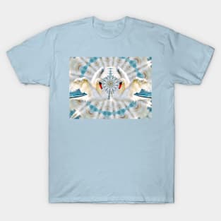 “Swan Kaleidoscope” T-Shirt